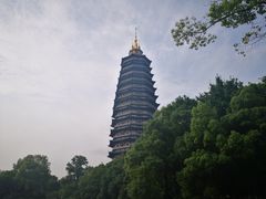 -听松楼·花园酒店·自助餐厅(红梅公园店)
