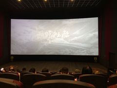 -上影国际影城(普陀绿地缤纷城店)