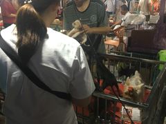 -中环花鸟鱼虫市场