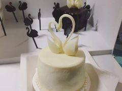 -BLACKSWAN黑天鹅(环球店)