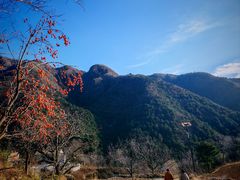 -王顺山国家森林公园