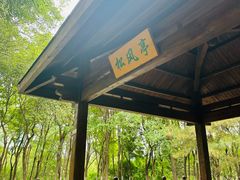 -大兴滨河森林公园
