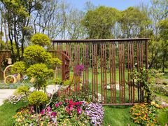 -上海共青森林公园