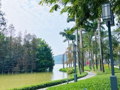 -顺峰山公园