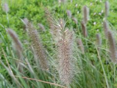 -昆山城市生态森林公园