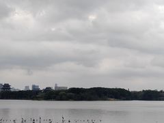 -海珠湖公园