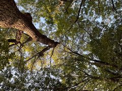 -蜀冈西峰生态公园