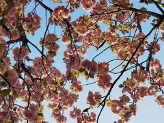 -苏州河梦清园环保主题公园