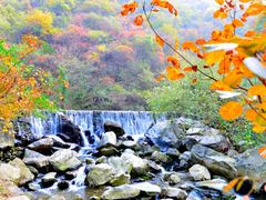 -少华山国家森林公园