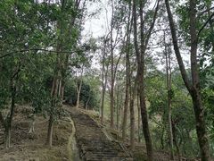 -风云岭森林公园