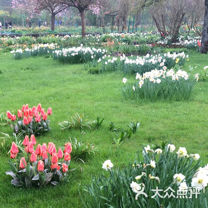 莫奈花园图片-北京历史古迹-大众点评网