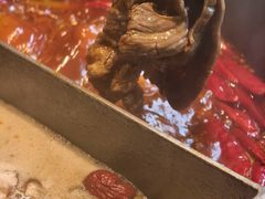 -大龙燚·旷野鲜火锅(广州首店)