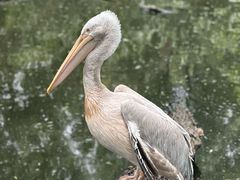-济南野生动物世界