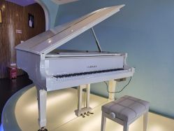 -比华利美容医院