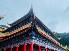 -东莞市大岭山森林公园