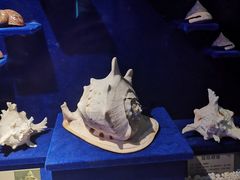 -大连圣亚海洋世界