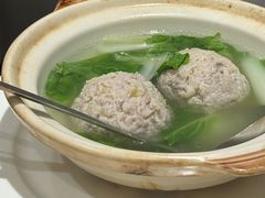 -丁老爷子苏香圆
