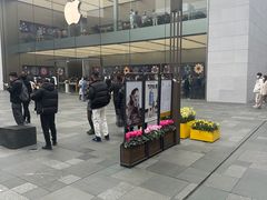 -Apple零售店(成都太古里店)