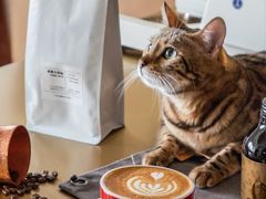 拿铁-Me Coffee下午茶艺术空间