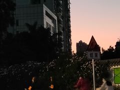 -广州塔