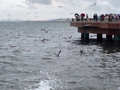 -幸福门