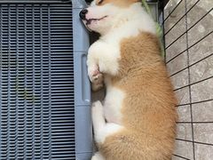 -明标牛煮意(香华店)