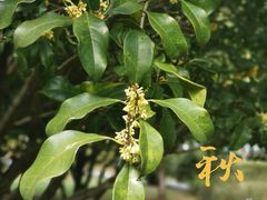 -白塘生态植物园