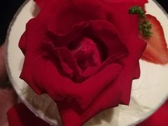 -枫花园汽车电影院(朝阳公园店)