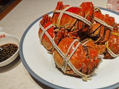 -杨氏青龙虾·羊肉季(金盛路总店)