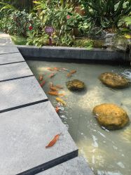 -宝生月子中心(独栋园林·福田店)