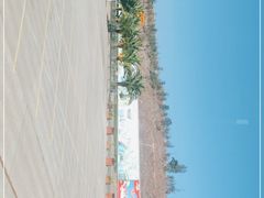 -世界恐龙谷景区