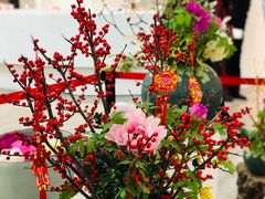 -上海辰山植物园