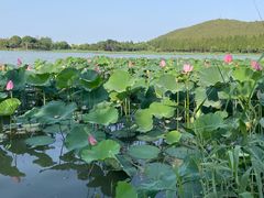 -云龙湖旅游景区