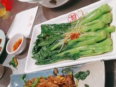 -潮界(虹桥新天地店)