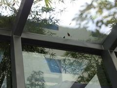-东部华侨城