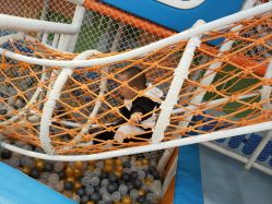 -爱婴室(上海浦建路店)