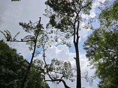 -黔灵山公园