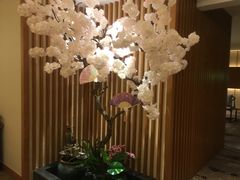 -汤乐汇•足道•SPA生活馆