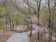 -大伊山景区
