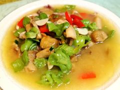 椒烧青头菌-广益饭店(翠湖公园北门街店)