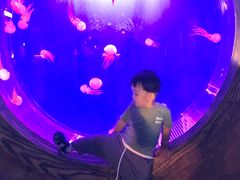 -华夏文旅海洋公园