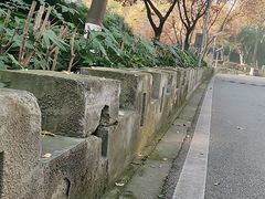 -上海市保健医疗中心