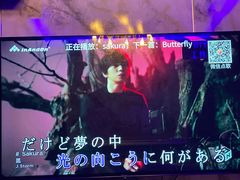 -K歌之王量贩式KTV(洪楼店)