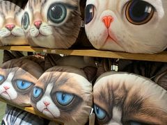 -猫咪博物馆(顶澳仔猫街店)