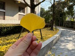 -宋庆龄陵园