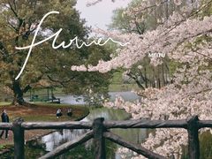 -上海共青森林公园