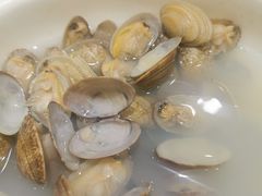 -陶然饺子城(奥体中路店)