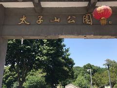 -太子山公园(园东路)