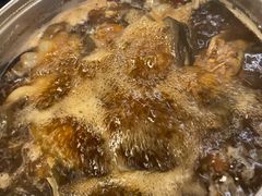 甲鱼锅底-甲鱼火锅(北村小区店)