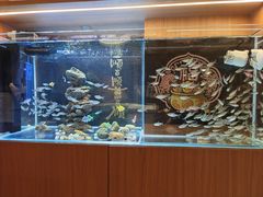 -碗中海·蒸汽海鲜·桑拿鸡(岭南天地店)